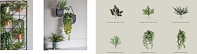 Poland Lighting Brands Decor