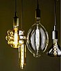 Gea Luce
